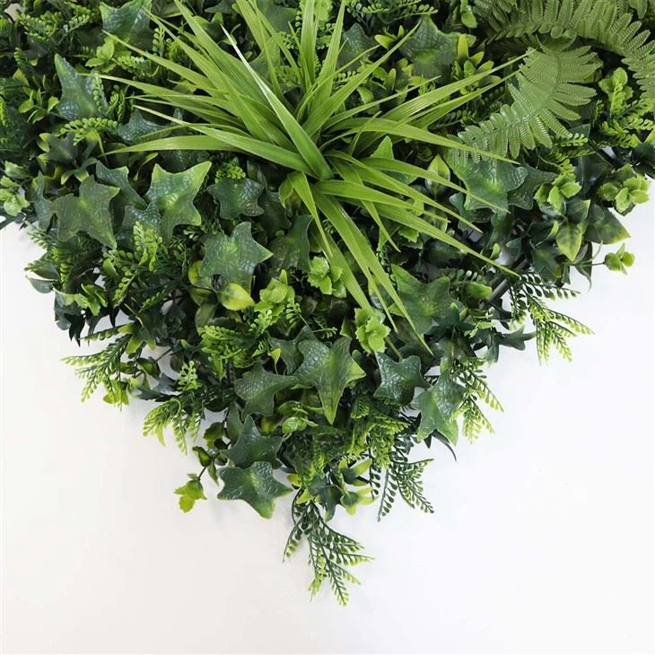 Green Plant Wall Indoor