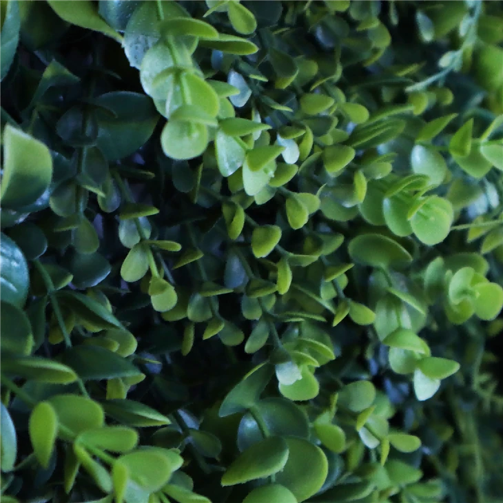 Hanging Plants Indoor Wall