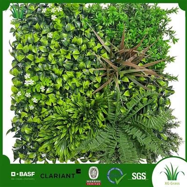 Paret de vinya interior de bricolatge