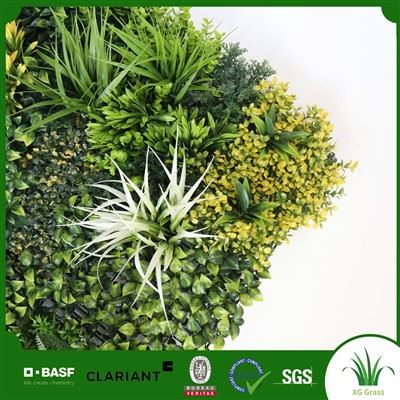 Parets d'herbes interiors