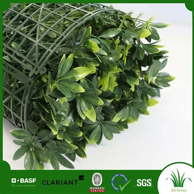 Paret d'herba del bany