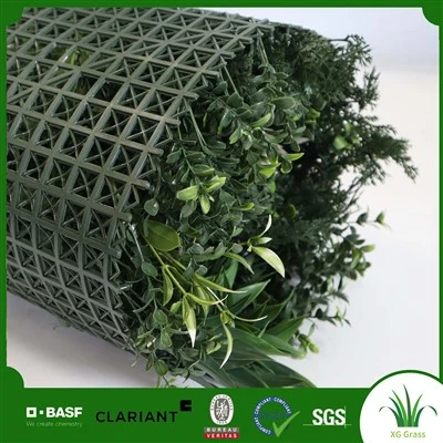Paret d'herba del dormitori