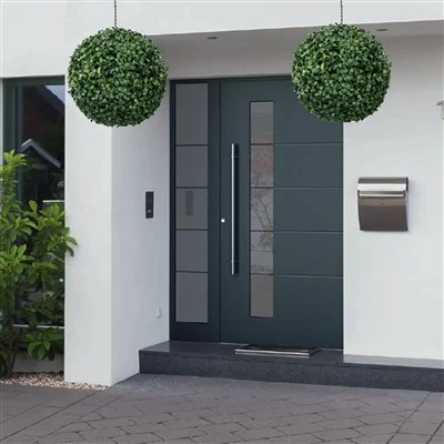 Planta topiària de boxwood