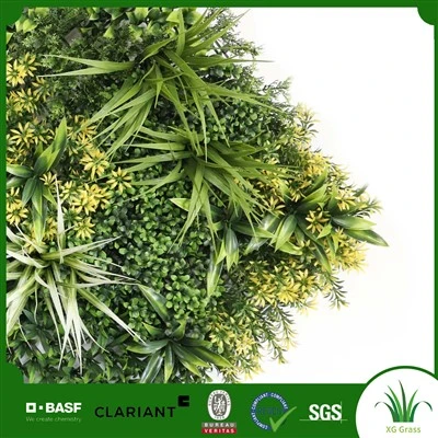 Mur d'herbes del jardí