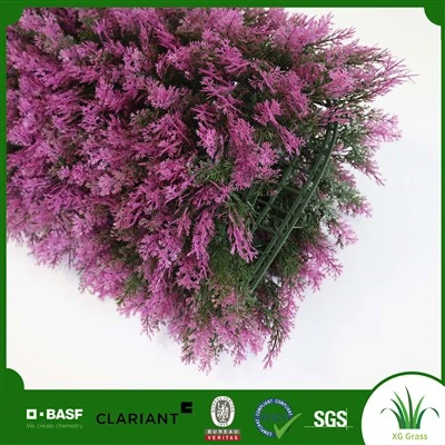 Paret d'herba a la sala d'estar