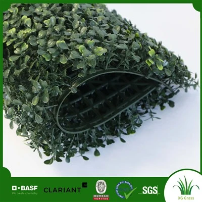 Decoració de paret d'herba verda