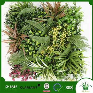 Mur de plantes de l'oficina a casa