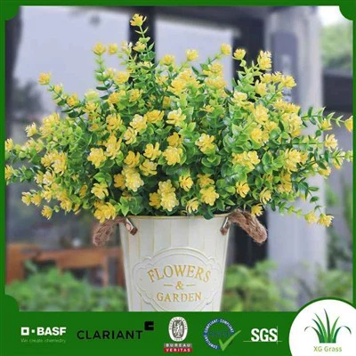 Plantes falses d'interior