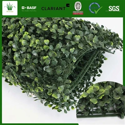 Paret d'herba de la sala d'estar