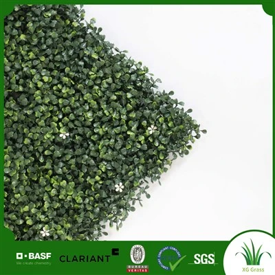 Living Wall Garden Interior