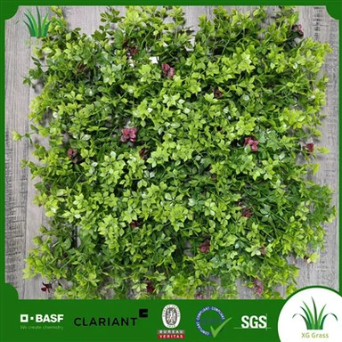 Plantes de jardí vertical d'interior