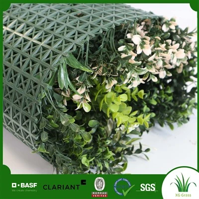 Vine Wall Interior