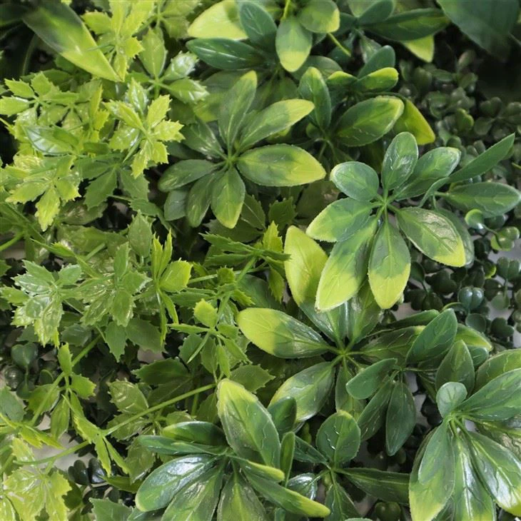 Sustainable Green Wall