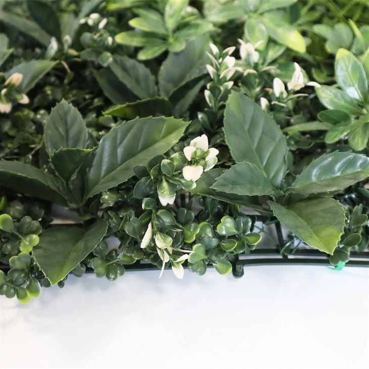 Sustainable Green Wall